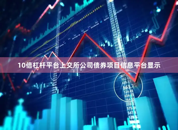 10倍杠杆平台上交所公司债券项目信息平台显示
