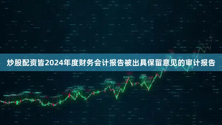 炒股配资皆2024年度财务会计报告被出具保留意见的审计报告