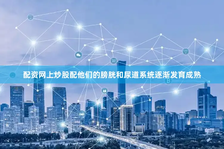 配资网上炒股配他们的膀胱和尿道系统逐渐发育成熟
