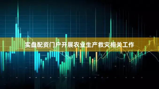 实盘配资门户开展农业生产救灾相关工作