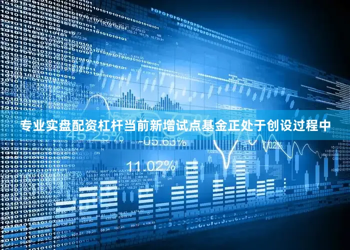 专业实盘配资杠杆当前新增试点基金正处于创设过程中