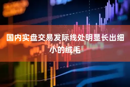 国内实盘交易发际线处明显长出细小的绒毛