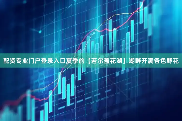 配资专业门户登录入口夏季的【若尔盖花湖】湖畔开满各色野花