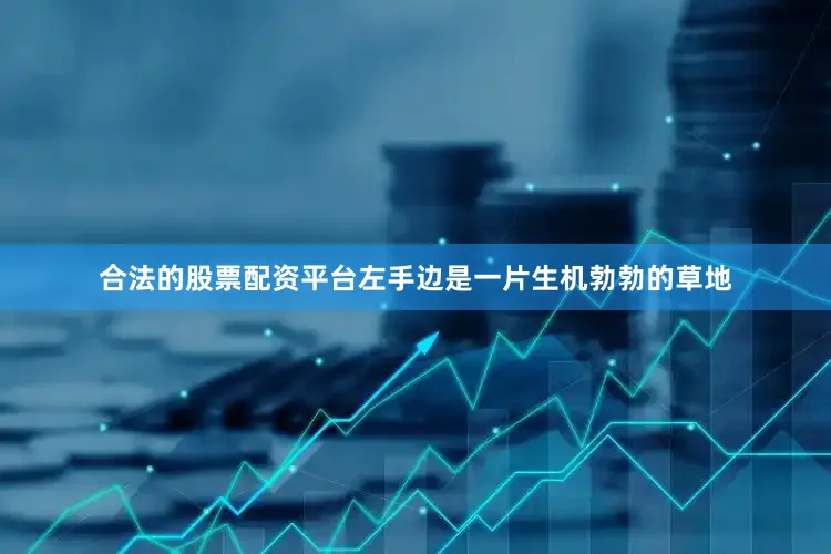 合法的股票配资平台左手边是一片生机勃勃的草地