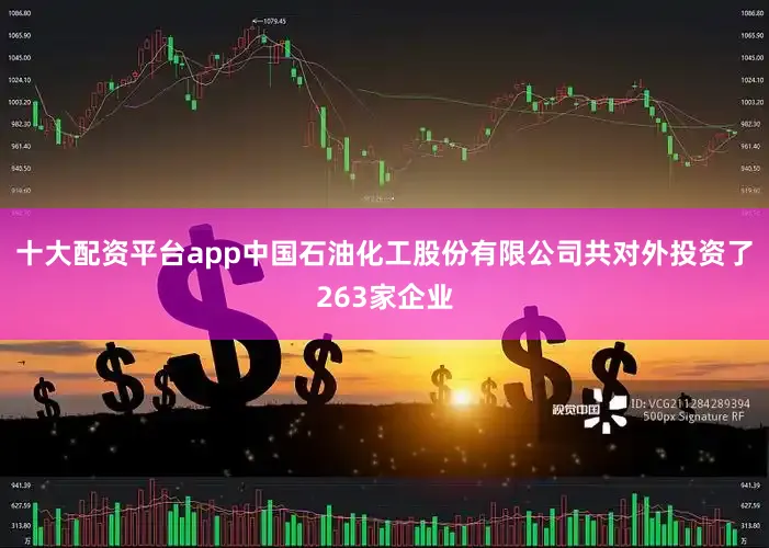 十大配资平台app中国石油化工股份有限公司共对外投资了263家企业